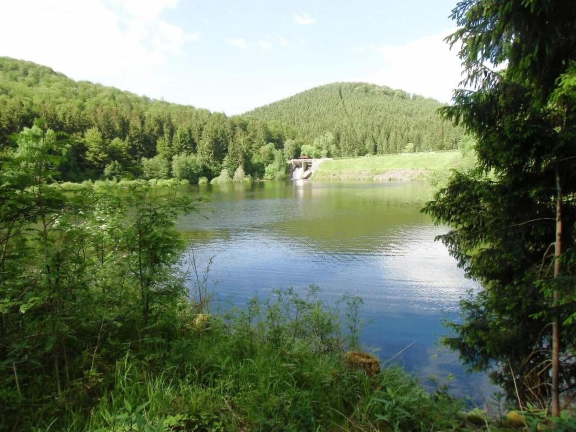 Detached Holiday Residence In The Wonderfully Beautiful Harz Kamschlacken Bagian luar foto
