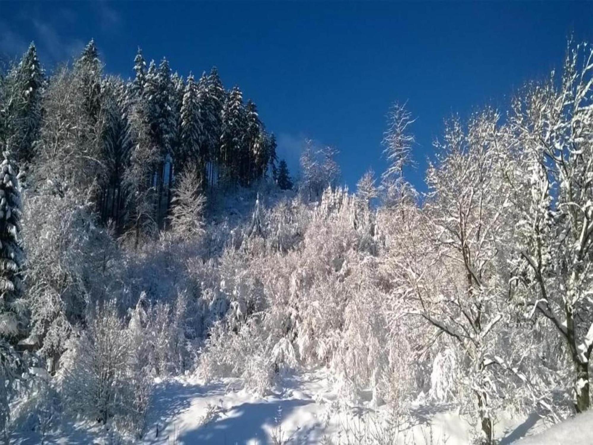 Detached Holiday Residence In The Wonderfully Beautiful Harz Kamschlacken Bagian luar foto